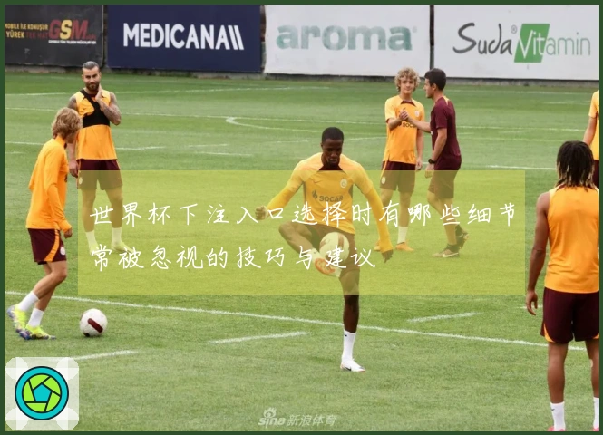 世界杯下注入口选择时有哪些细节常被忽视的技巧与建议