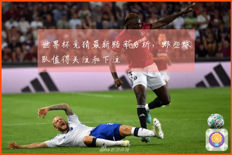 世界杯竞猜最新赔率分析，哪些球队值得关注和下注