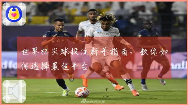 世界杯买球投注新手指南，教你如何选择最佳平台