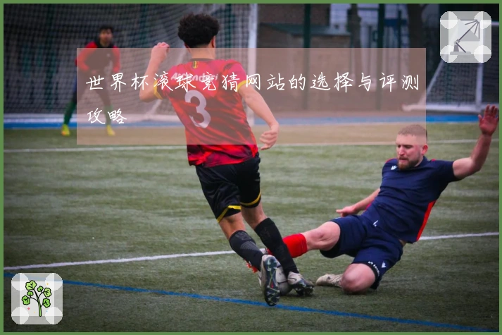 世界杯滚球竞猜网站的选择与评测攻略