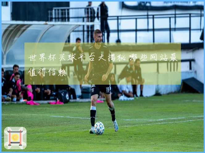 世界杯买球平台大揭秘 哪些网站最值得信赖
