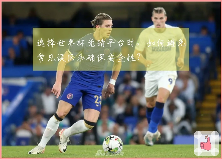 选择世界杯竞猜平台时，如何避免常见误区和确保安全性？